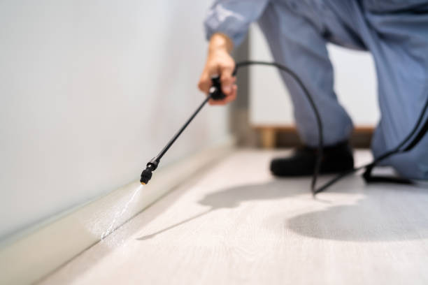 Licensed Exterminator service in Caribou, ME - Show Me Pest Control